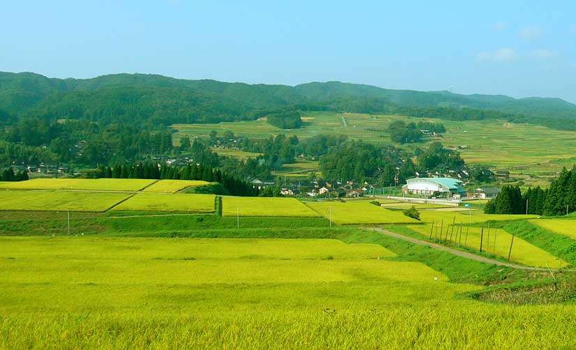 美しい羽咋の里山があぶない